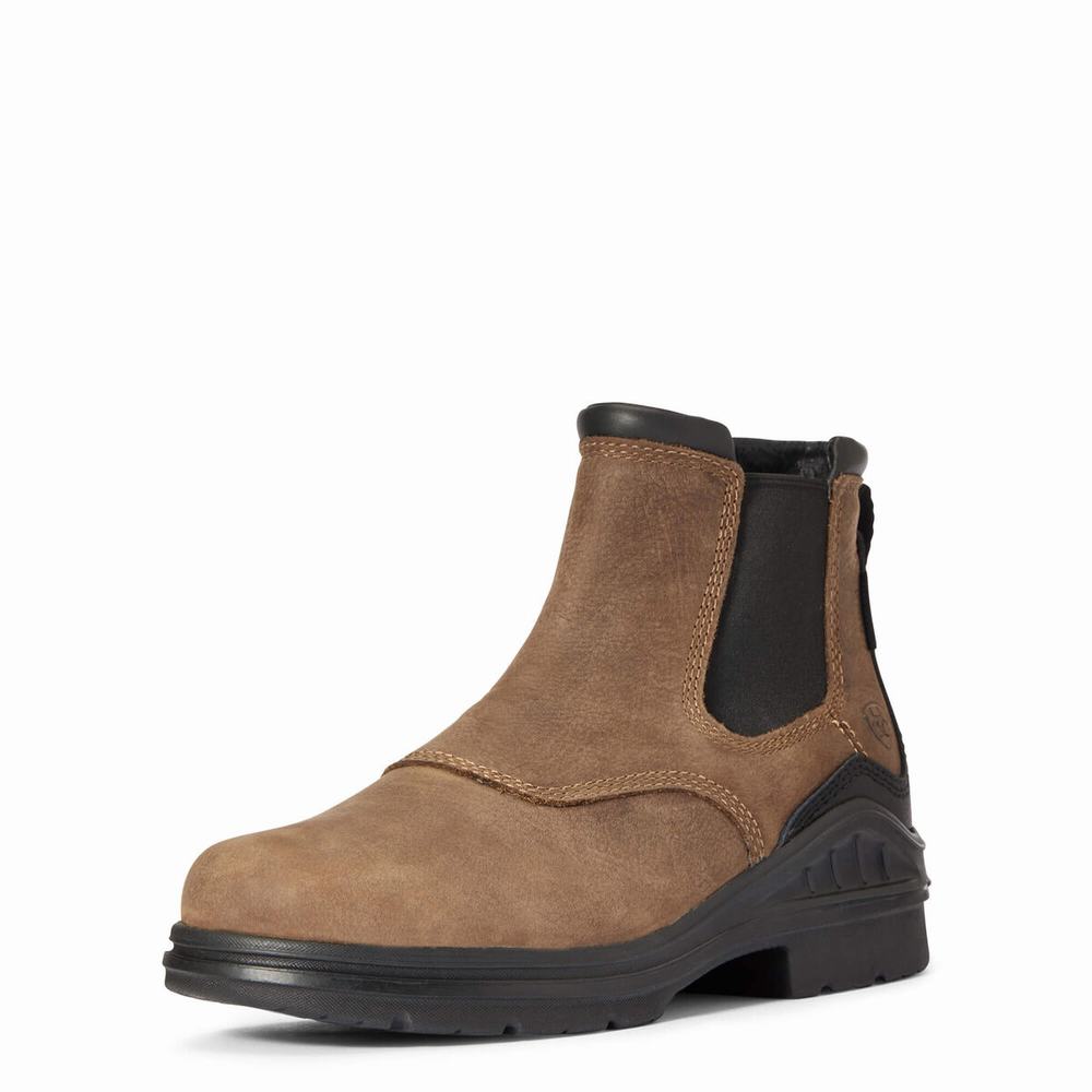 Dámské Jezdecké Boty Ariat Barnyard Twin Gore II Nepromokavé Hnědé | YXIC-62183