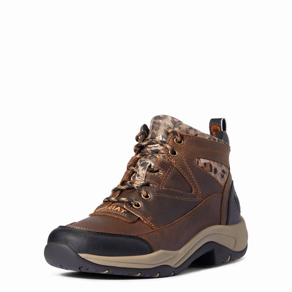 Dámské Jezdecké Boty Ariat Terrain Hnědé | LDIU-83726
