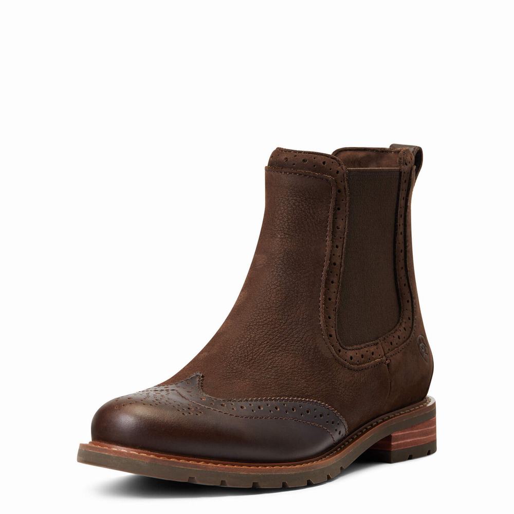 Dámské Nepromokavé Boty Ariat Wexford Brogue Nepromokavé Čokolády Hnědé | APSJ-08639