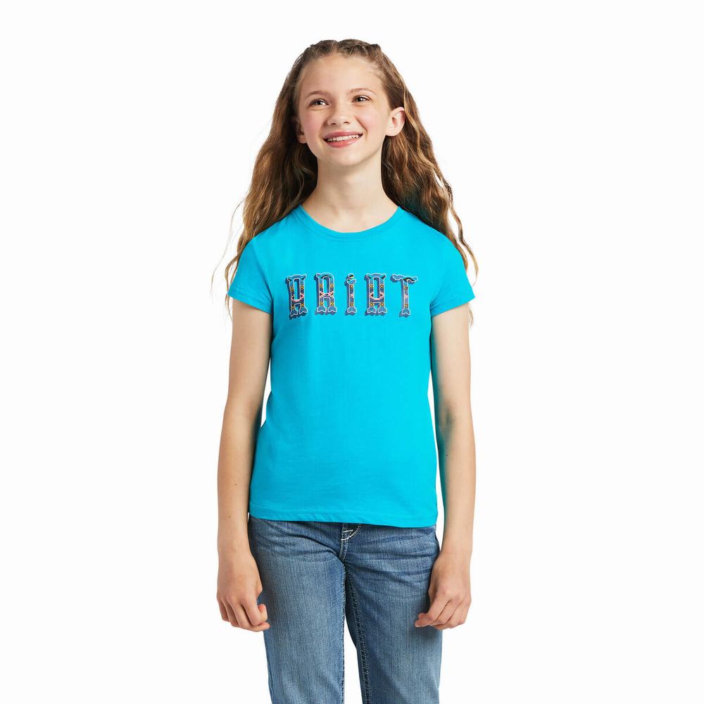Dětské Polo Triko Ariat REAL Kinship Grafická Viacfarebný | ETWB-03247